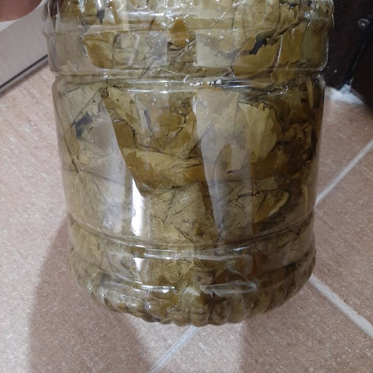 Enfes Ev Lezzetleri (enfes_ev_lezzetleri) Damarlı Kart Yaprak Göndermişler