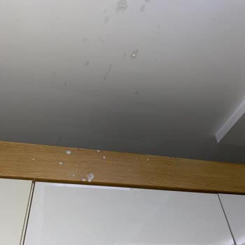 Altınkılıç Kefir Şişesi Kapağı Patladı