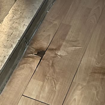 Jolly Tur Muğla İlçeleri Turu Deneyimi