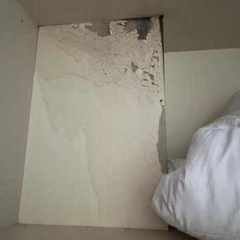 Jolly Tur Muğla İlçeleri Turu Deneyimi