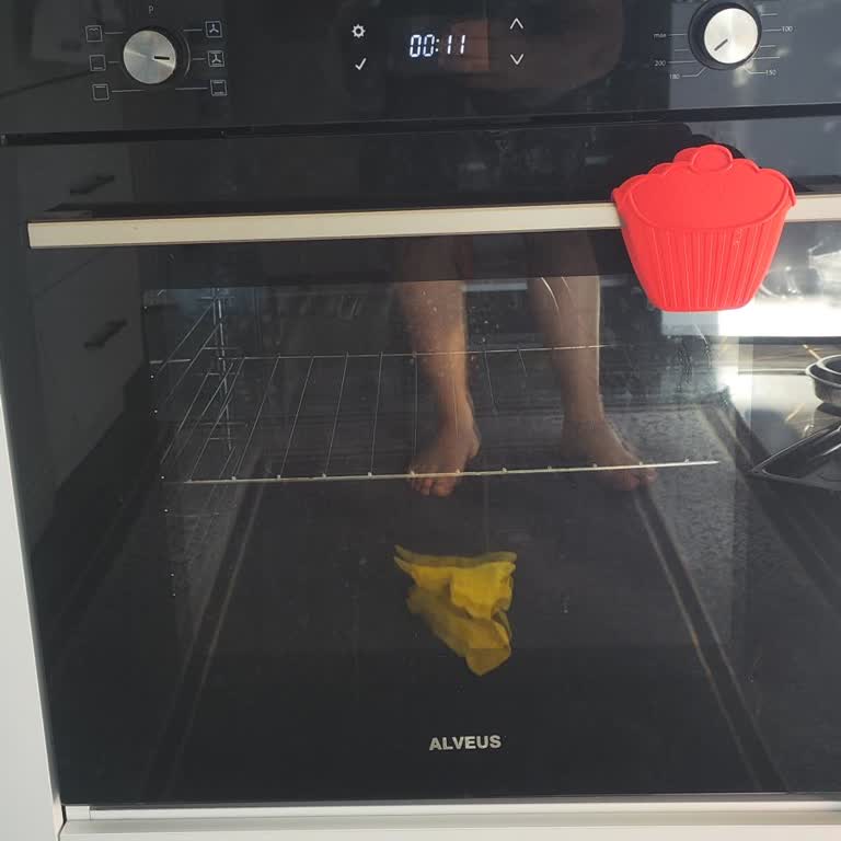 Alveus Fırın İle Yaşadığım Sürekli Arızalar