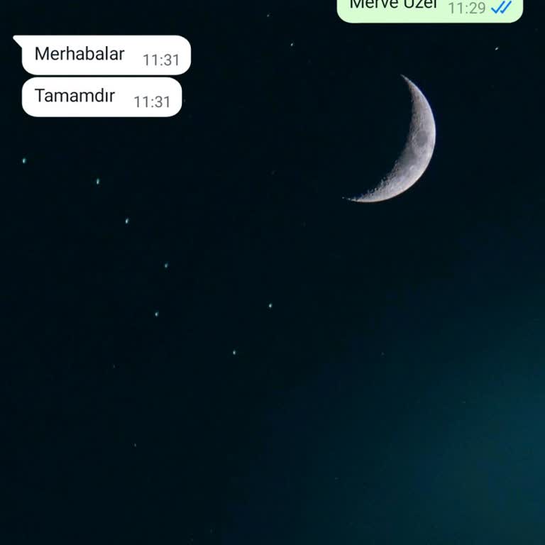 Evde Paketleme İşi Ve Para Transferi Şikayeti