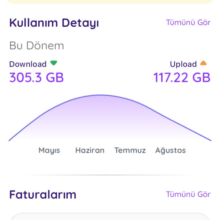 Netspeed İnternet Bağlantı Sorunu