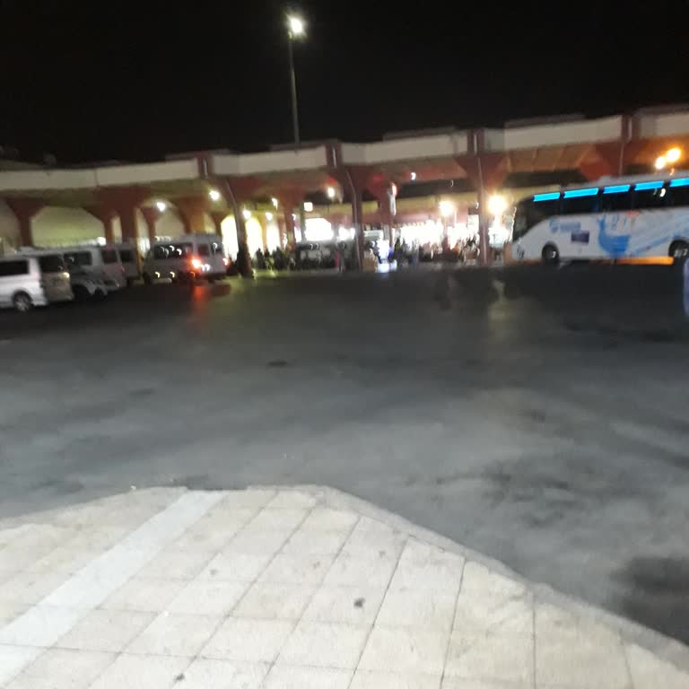 Adana Büyükşehir Belediyesi Adana Otogarındaki Yüksek Tuvalet Ücreti Şikayeti