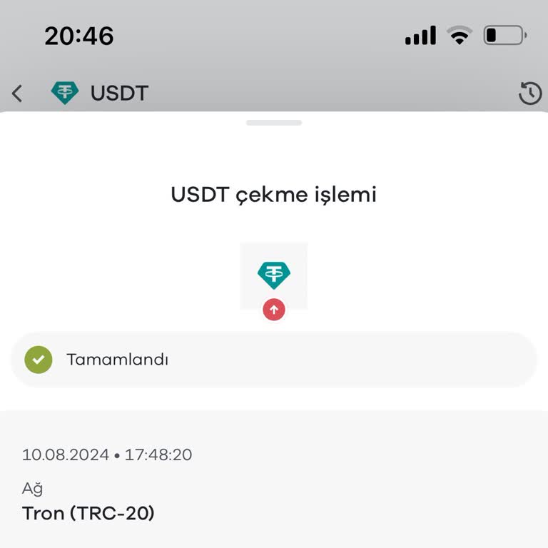 Paribu USDT Çektim Hesabıma Geçmedi
