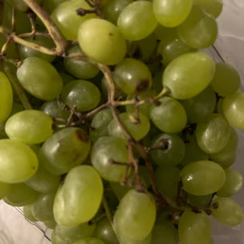 Migros Talebin Karşılanmaması Ve Mağduriyetin Devam Etmesi
