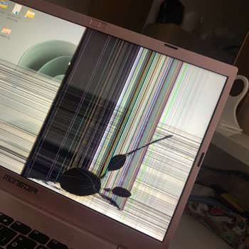 Monster Huma Bilgisayarımın Ekran Sorunu Ve Servis İlgisizliği