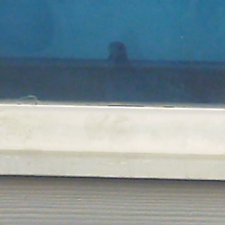 Rögar Temizliği İSKİ