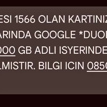 Dualingo Üyeliği İptal Edilemiyor