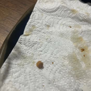 Metro Grossmarket Metro Chef Lahmacun