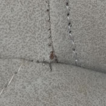 Sarıkaya Mobilya Koltuk Takımı Teslimatında Büyük Sorunlar Yaşadım