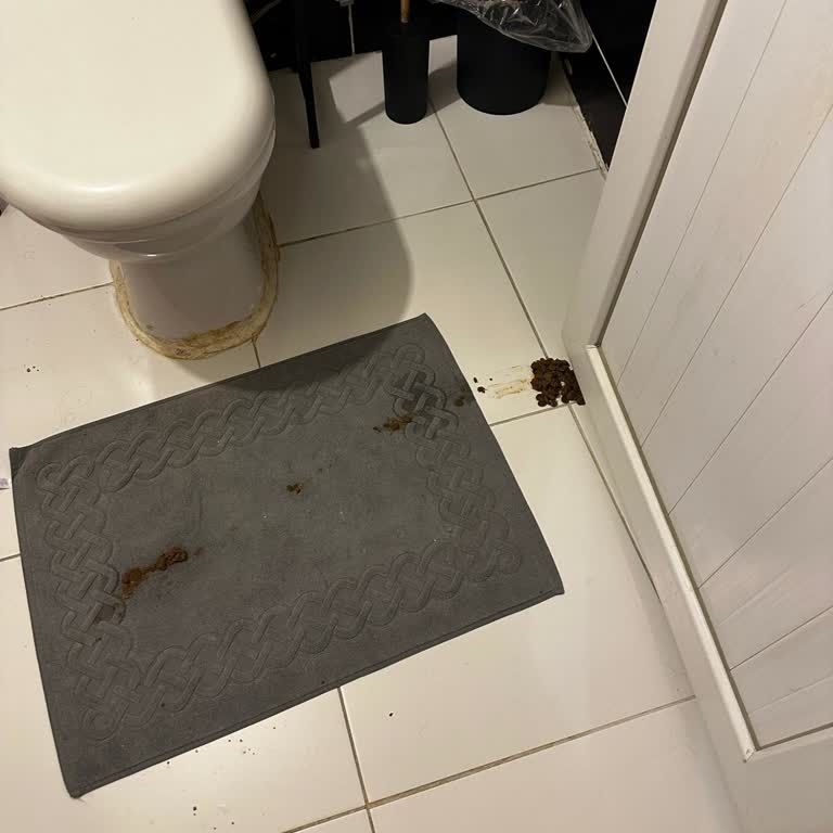 Farmina - N&D Mama N&D Bozuk Mama Yüzünden Kedim Zehirlendi