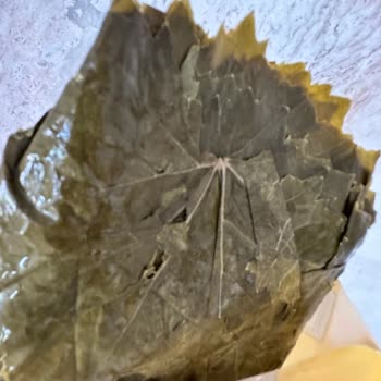 Gurme212 Gurme 212 Çöpe Giden Emek