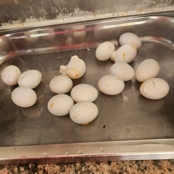 Jolly Tur Dan Satın Aldığım Yurtiçi Tatili