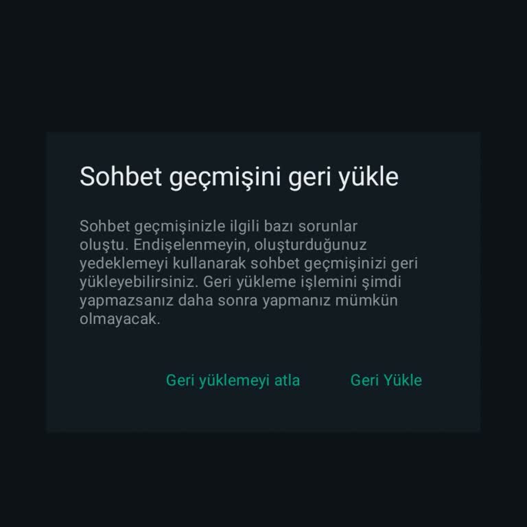 WhatsApp Mesajlarımı Sildi