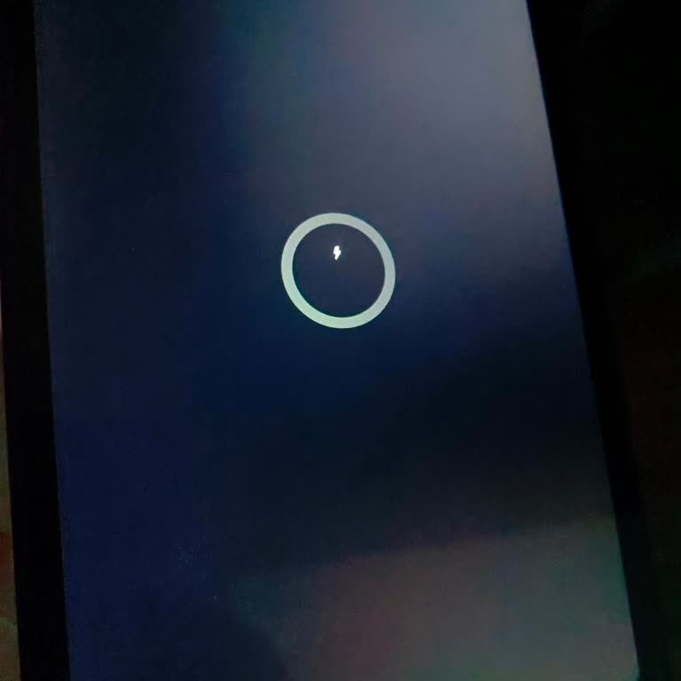 Samsung Telefon Galaxy S6 Lite Tablet Şarj Olmuyor