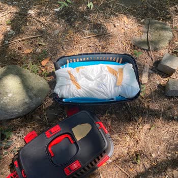 OMÜ Hayvan Hastanesi Kedimizin Neden Öldüğünü Söylemediler