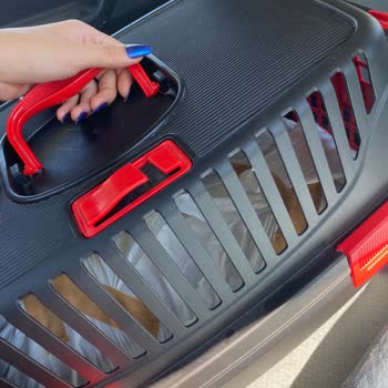 OMÜ Hayvan Hastanesi Kedimizin Neden Öldüğünü Söylemediler