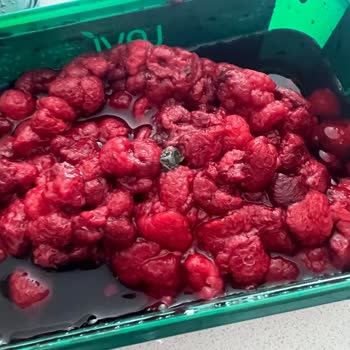Lavi Juice Lavi Marka Donuk Frambuaz Ürününün İçinden Böcek Çıktı