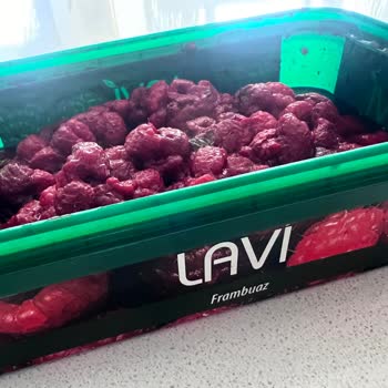 Lavi Juice Lavi Marka Donuk Frambuaz Ürününün İçinden Böcek Çıktı