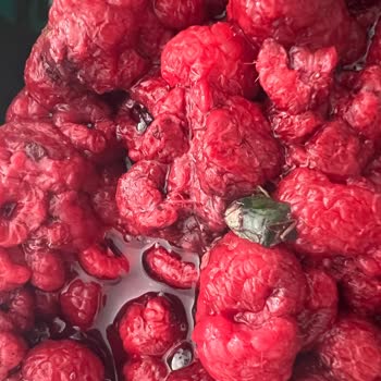 Lavi Juice Lavi Marka Donuk Frambuaz Ürününün İçinden Böcek Çıktı