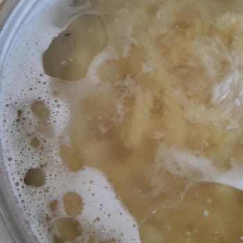Pastavilla Makarnalarında Böcek Sorunu