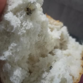 A101 Ekmeğinden Böcek Çıktı