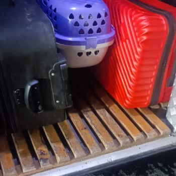 Buzlu Turizm Firması Şoförünün Saygısız Ve Tehlikeli Davranışları