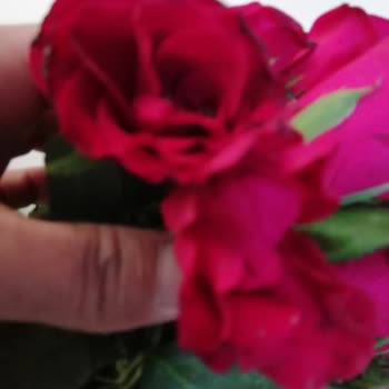 ÇiçekSepeti Görselde Görünenden Çok Farklı Ürün