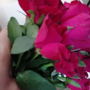 ÇiçekSepeti Görselde Görünenden Çok Farklı Ürün