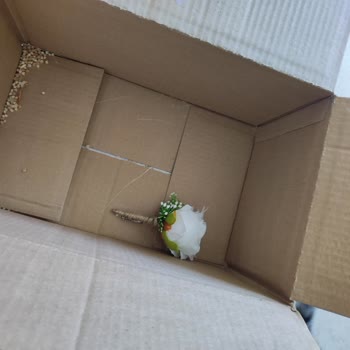 Fesleğen Yapay Çiçek İnsanları Yanıltıyor