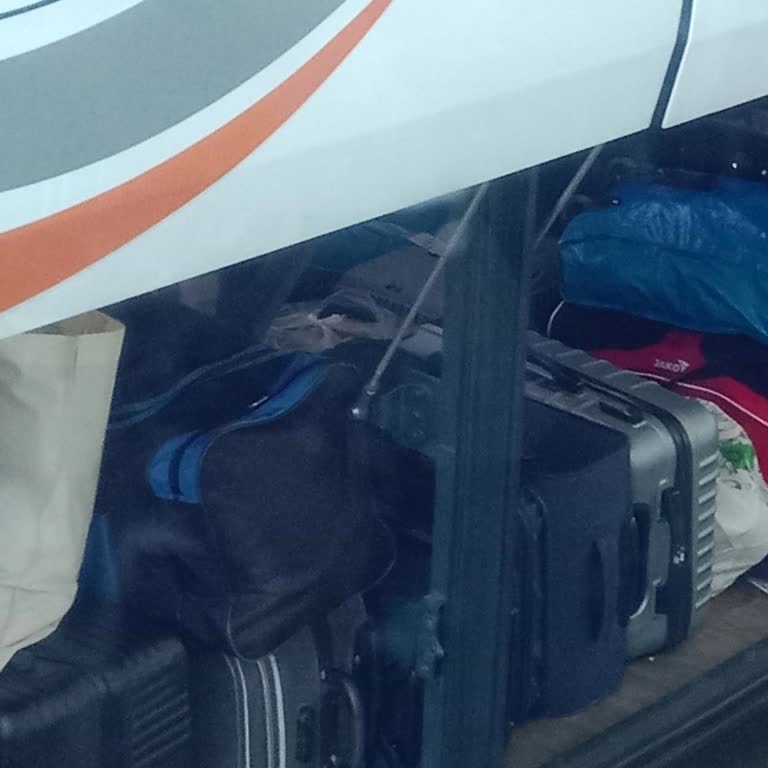 Mersin Seyahat Hayvanların Bagajda Taşınması Kabul Edilemez