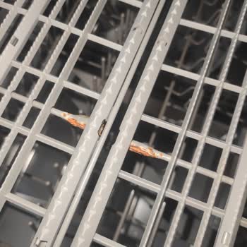 Samsung Bulaşık Makinemin Çatal Kaşık Çekmecesi Küflendi