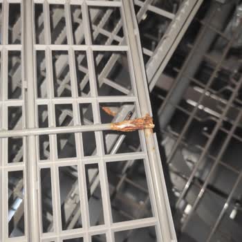 Samsung Bulaşık Makinemin Çatal Kaşık Çekmecesi Küflendi