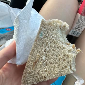 Tada! Küflü Sandviç