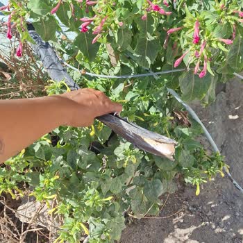 Vodafone Ev İnterneti Sorunu