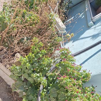 Vodafone Ev İnterneti Sorunu