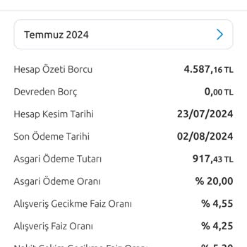 Yapı Kredi Bankası Kredi Kartı Talanı