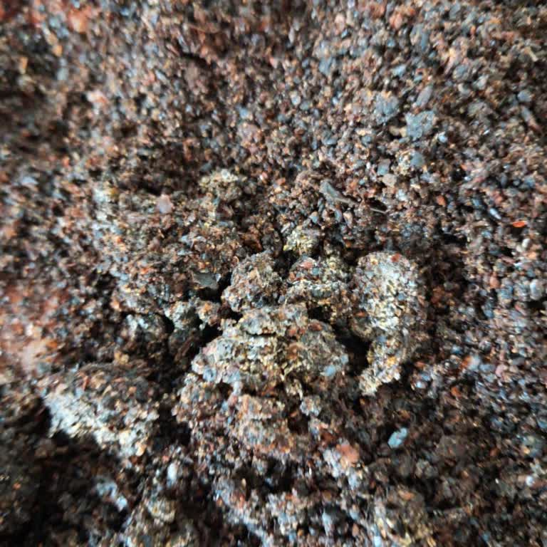 Getir Dost Aktar Küflü Ürün