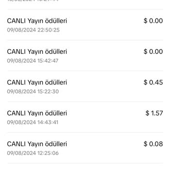 Payoneer İle Para Çekme Sorunu