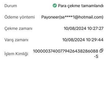 Payoneer İle Para Çekme Sorunu