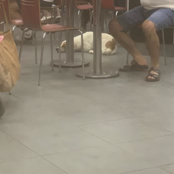 Söke Novada Burger King Çok Kirli