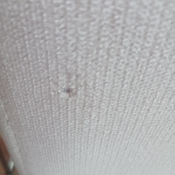 Tüketici Hakem Heyetleri Modalife Dan Ürünler. İadesi İstiyorum