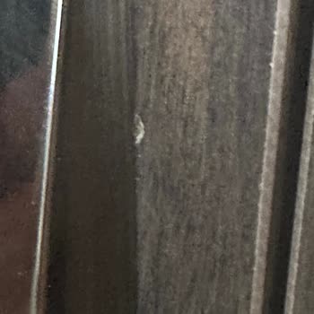 İstikbal Böyle Bir Şey Olmaz Hiç Beklemiyordum