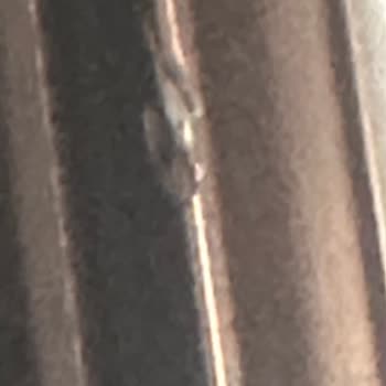 İstikbal Böyle Bir Şey Olmaz Hiç Beklemiyordum