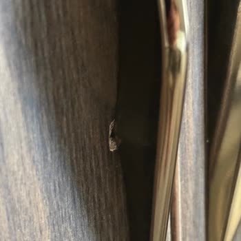 İstikbal Böyle Bir Şey Olmaz Hiç Beklemiyordum