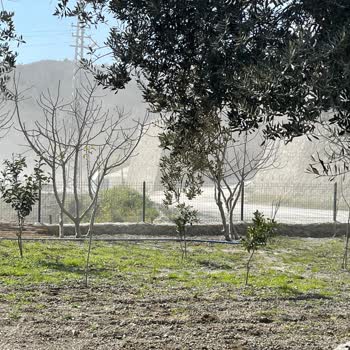 Emir Hazır Beton (Antakya) Çevre Ve Hava Kirliliği Hakkında