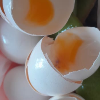 Bravo Süpermarket (Adana) Ürünler Bozuk Çıktı
