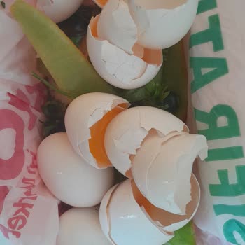 Bravo Süpermarket (Adana) Ürünler Bozuk Çıktı