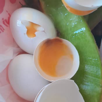 Bravo Süpermarket (Adana) Ürünler Bozuk Çıktı
